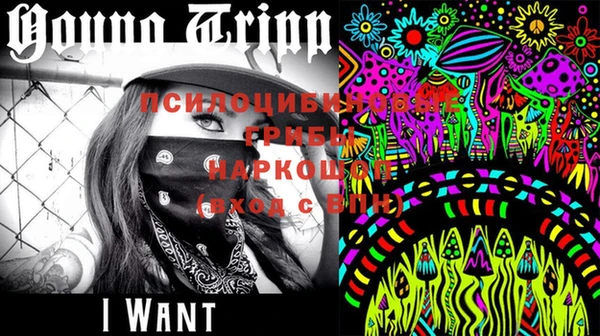ешки Осинники