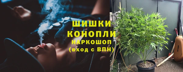 прущие грибы Переславль-Залесский