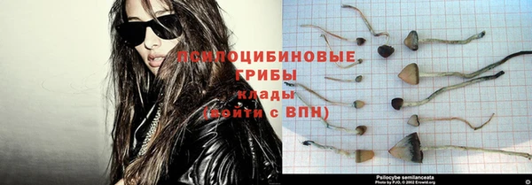 2c-b Осташков