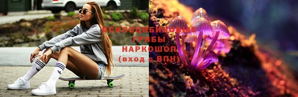 СК Куйбышев